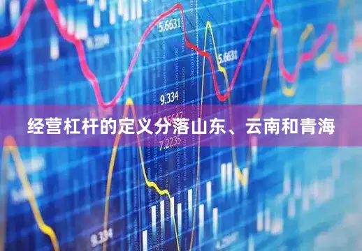 经营杠杆的定义分落山东、云南和青海