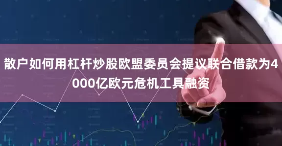 散户如何用杠杆炒股欧盟委员会提议联合借款为4000亿欧元危机工具融资