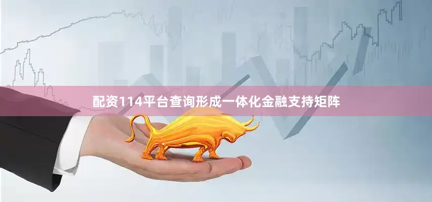 配资114平台查询形成一体化金融支持矩阵